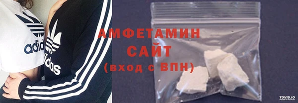 амф Бородино
