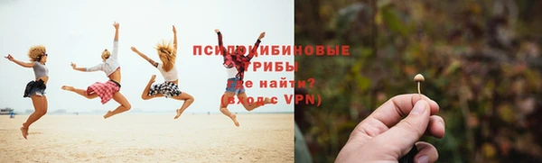 амф Бородино