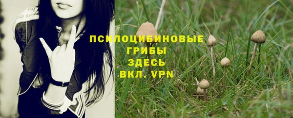 apvp Богородицк