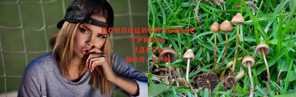 apvp Богородицк