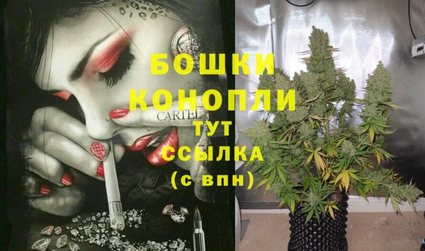 apvp Богородицк